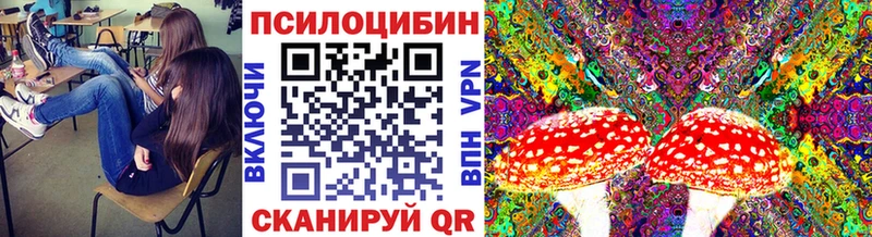 Галлюциногенные грибы Psilocybine cubensis  Нефтеюганск 